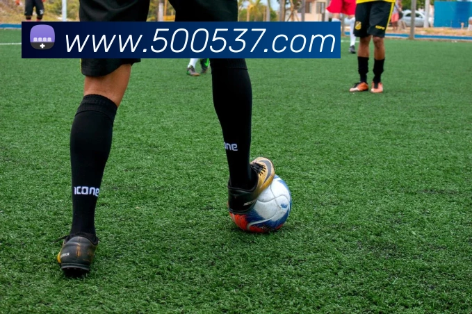 体育数据展示